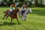 Point To Point Racing At Godstone Stock Photo