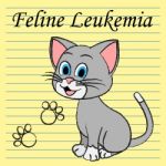 Feline Leukemia Represents Domestic Cat Cancer Illness Stock Photo