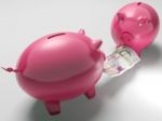 Piggybanks Fighting Over Money Shows Investment Decisions Stock Photo