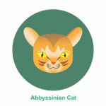 Cartoon Abbyssinian Cat In Circle  Illustration Stock Photo