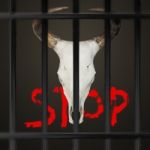 Stop Hurting Animals Stock Photo
