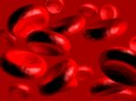 Red Blood Cell Stock Photo