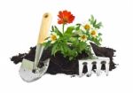 Home Gardening Stock Photo
