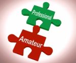 Professional Amateur Puzzle Shows Expert And Apprentice Stock Photo