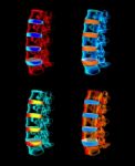 3d Rendered - Spine Structure On Black Background With Blue Spin Stock Photo