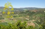 Ronda, Andalucia/spain - May 8 : View Of The Countryside From Ro Stock Photo