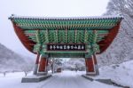 Gate Of Baekyangsa Temple And Falling Snow, Naejangsan Mountain In Winter With Snow,famous Mountain In Korea.winter Landscape Stock Photo