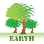 Earth Trees Represents Environment Forest And Nature Stock Photo