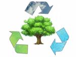 Recycling Symbol With Tree Stock Photo