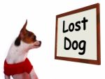 Lost Dog Sign Stock Photo