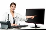 Female Physician Pointing At Computer Screen Stock Photo
