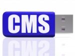 Cms Pen Drive Means Content Optimization Or Data Traffic Stock Photo
