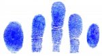 Blue Fingerprint Stock Photo