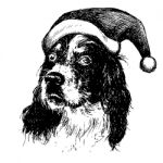 English Setter Dog With Christmas Santa Hat Stock Photo