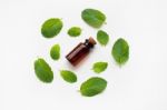 Essentail Oil With Fresh Mint Leaves Stock Photo