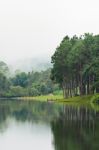 Nature Landscape At Morning Of Lakes And Pine Forests Stock Photo