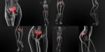 3d Rendering Medical Illustration Of The Sacrum Bone Stock Photo