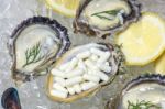 Zinc Capsule Supplementary Food Oyster Seafood Lemon Stock Photo