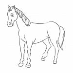 Line Drawing Of Horse -simple Line Stock Photo