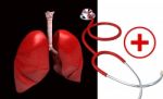 Human Lungs With Stethoscope Stock Photo