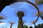 The Supertrees Grove At Gardens By The Bay Stock Photo