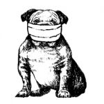 Illustration Of Bulldog With Mask Stock Photo