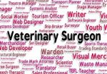 Veterinary Surgeon Indicates General Practitioner And Career Stock Photo