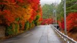 Uphill Street With Colorful Autumn Leaves Stock Photo