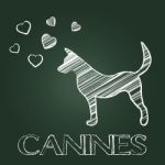 Canines Word Shows Doggy Pet And Pets Stock Photo