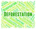 Deforestation Word Means Cut Down And Clear Stock Photo