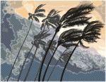 Palm Trees Bent By A Strong Hurrican Wind Stock Photo