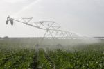 Irrigation Of Corn Field Stock Photo