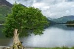 View Of Buttermere Stock Photo