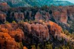Sun Kissed Hoodoos And Pine Trees In Bryce Canyon Stock Photo