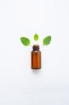 Natural Mint Essential Oil In A Glass Bottle With Fresh Mint Lea Stock Photo