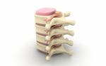 3d Rendered Of Illustration - Human Spine Stock Photo