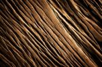 Wood Background Stock Photo