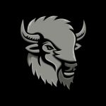 American Bison Head Metallic Icon Stock Photo