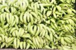 Green Plantains Bananas Stock Photo