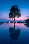 Silhouette Of Beautiful Tree With Reflection On Sunrise Stock Photo