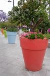 Benalmadena, Andalucia/spain - May 9 : Massive Flower Pots In Be Stock Photo