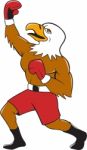Bald Eagle Boxer Pumping Fist Cartoon Stock Photo