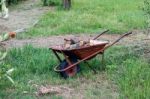 Wheelbarrow In An Olive Grove Stock Photo
