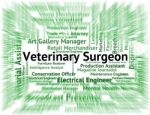 Veterinary Surgeon Showing General Practitioner And Surgeons Stock Photo