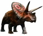 Torosaurus Stock Photo