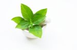 Basil In Porcelain Mortar And Pestle  On White Stock Photo