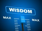 Wisdom Max Means Smartness Most And Wise Stock Photo