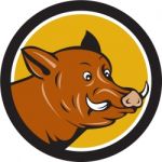 Wild Boar Razorback Head Startled Circle Cartoon Stock Photo