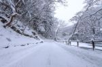 Road In Winter Stock Photo