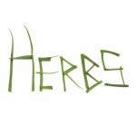 Inscription Herbs Is Composed Of Green Onions Leaves, Isolated O Stock Photo